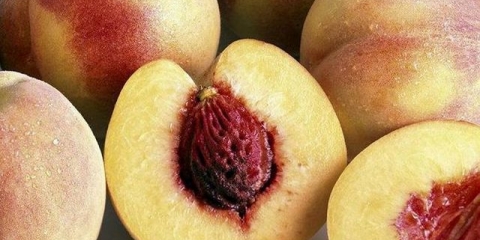 Kako uzgojiti breskvu iz sjemenki kod kuće